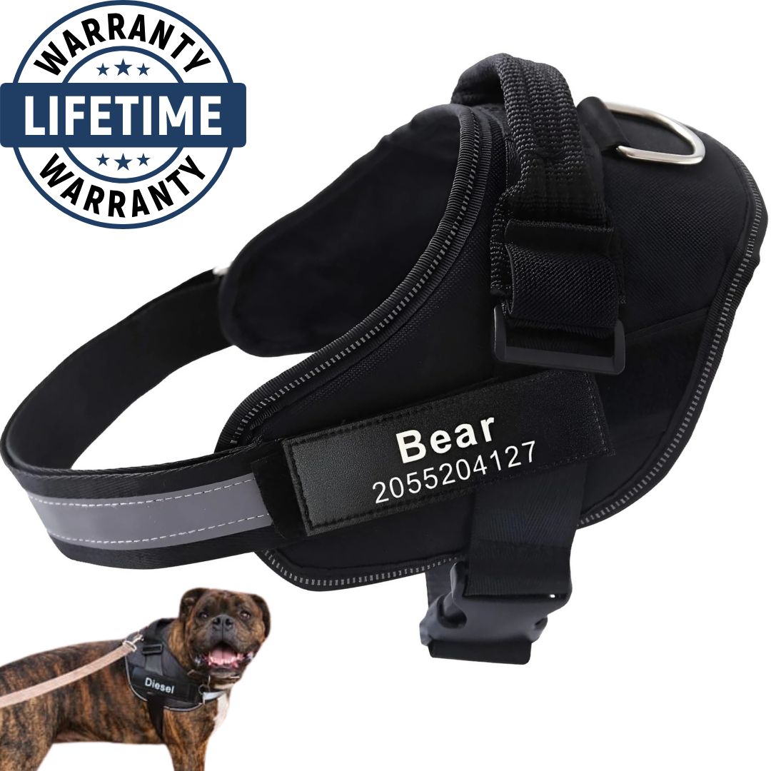 Personalized No Pull Harness
