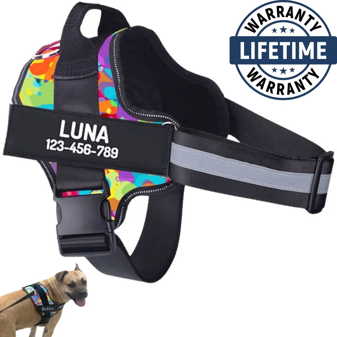 Personalized No Pull Harness