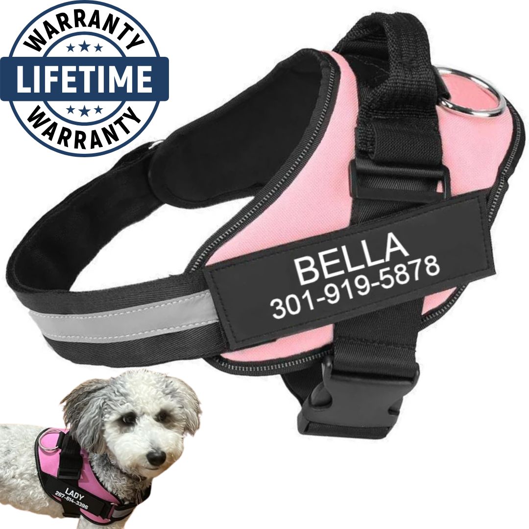 Personalized No Pull Harness