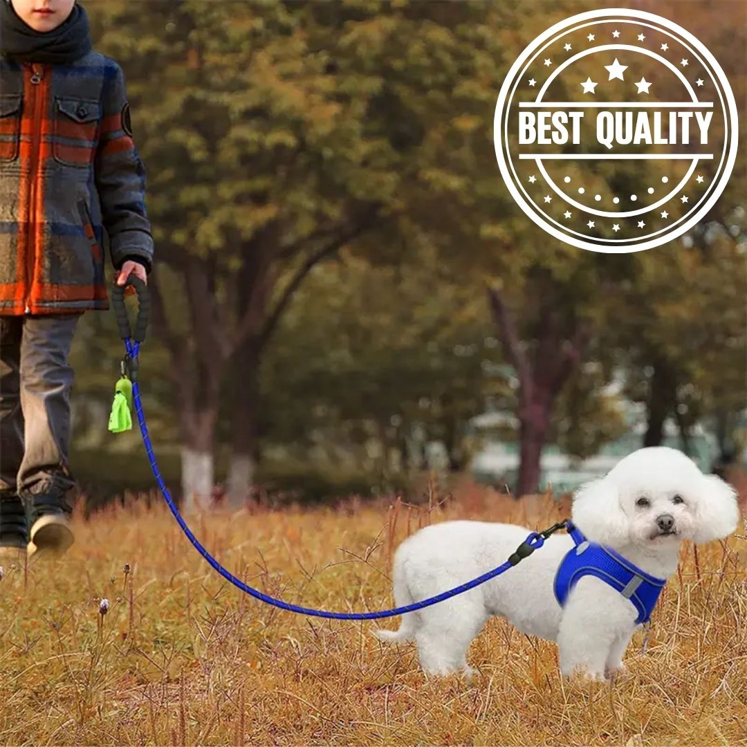 Reflective Dog Leash