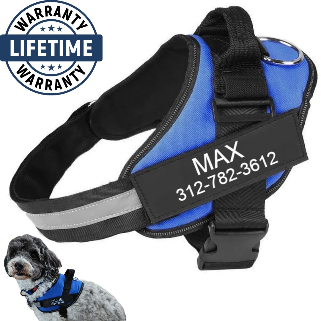 Personalized No Pull Harness