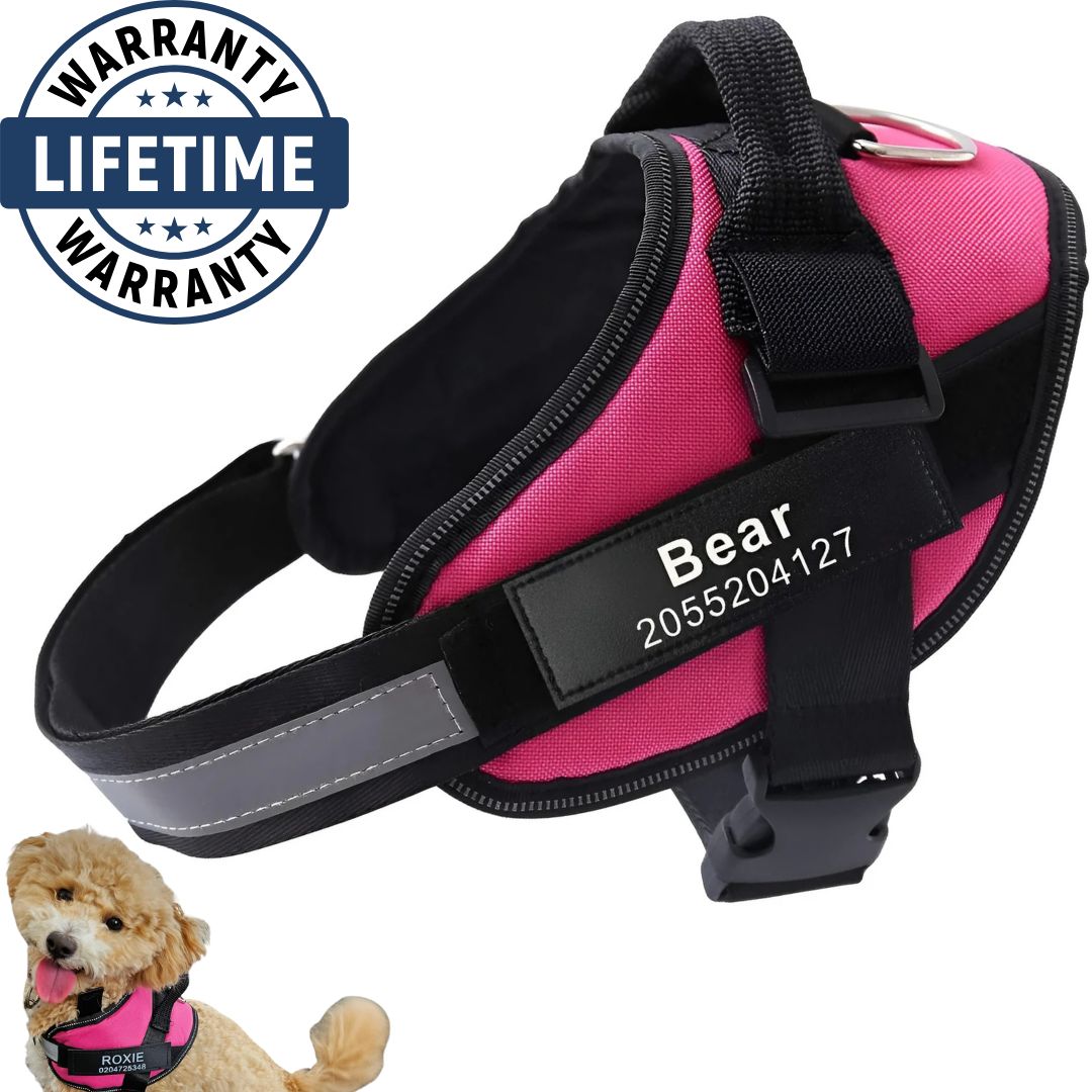 Personalized No Pull Harness