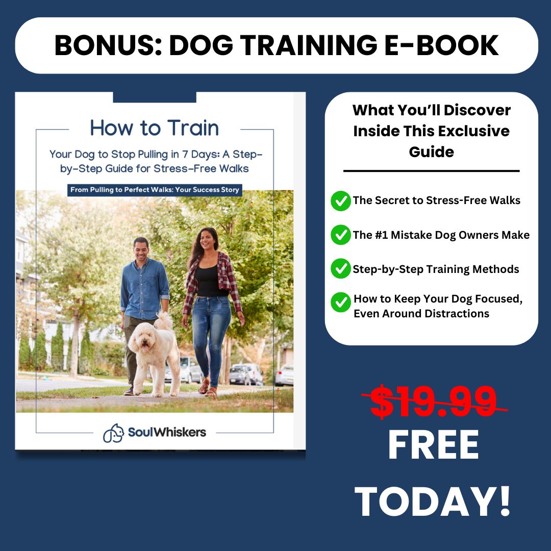 Personalized No Pull Harness