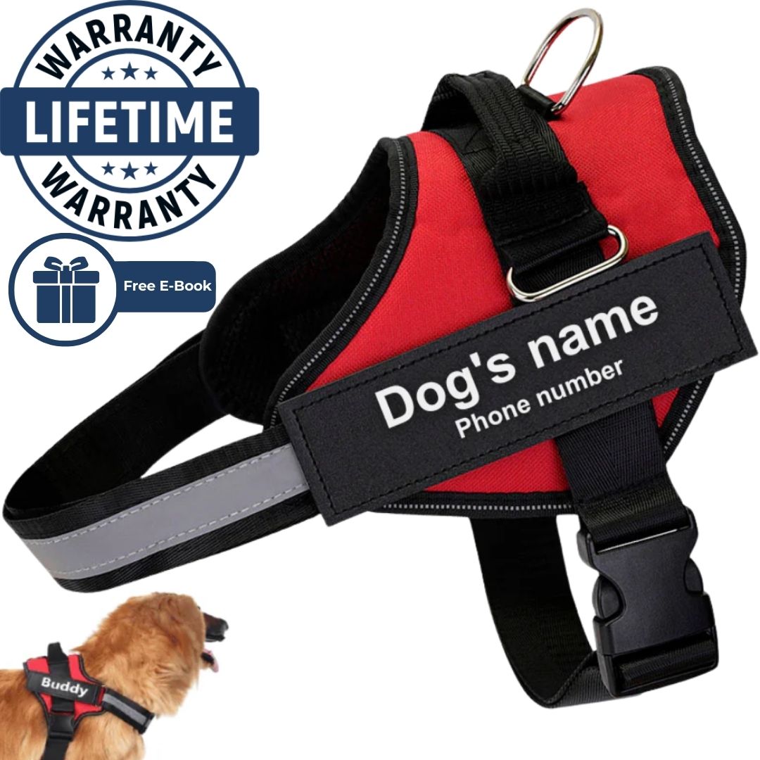 Personalized No Pull Harness – Soul Whiskers