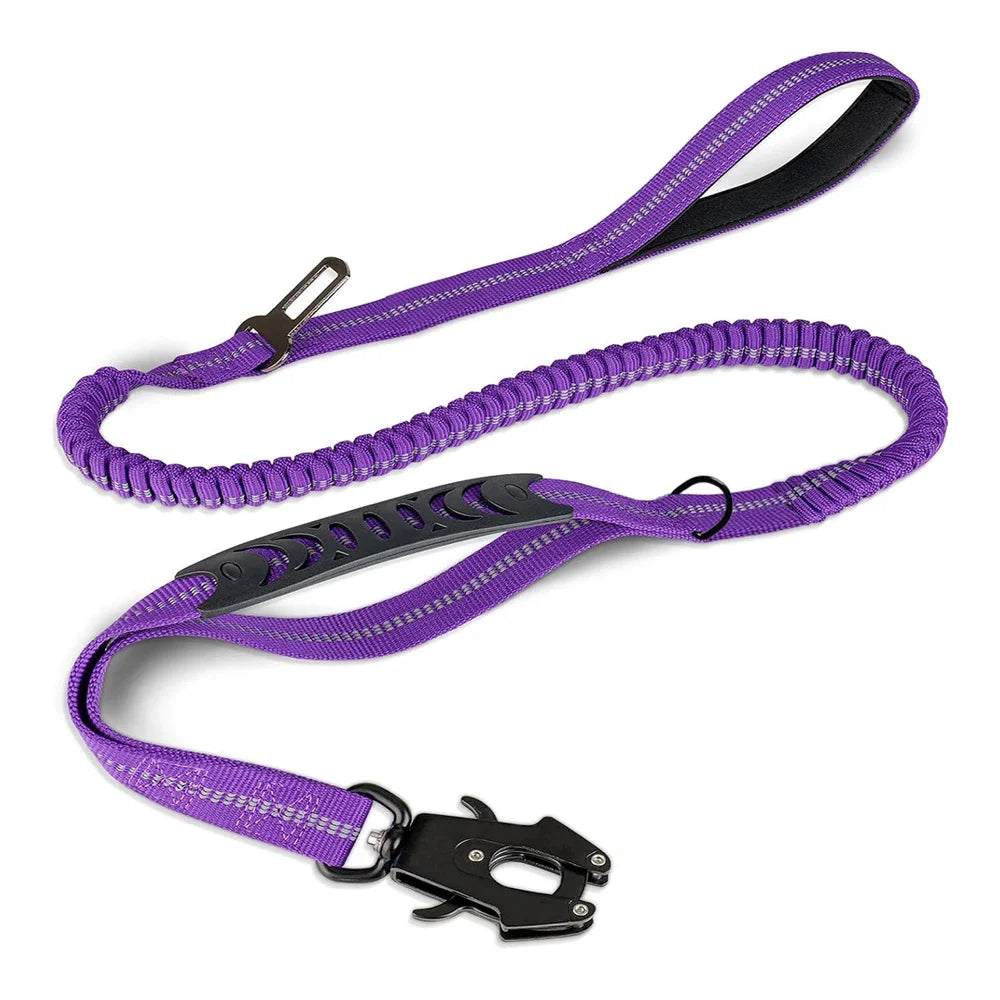 PawSecure 2-in-1 Dog Leash & Car Seat buckle