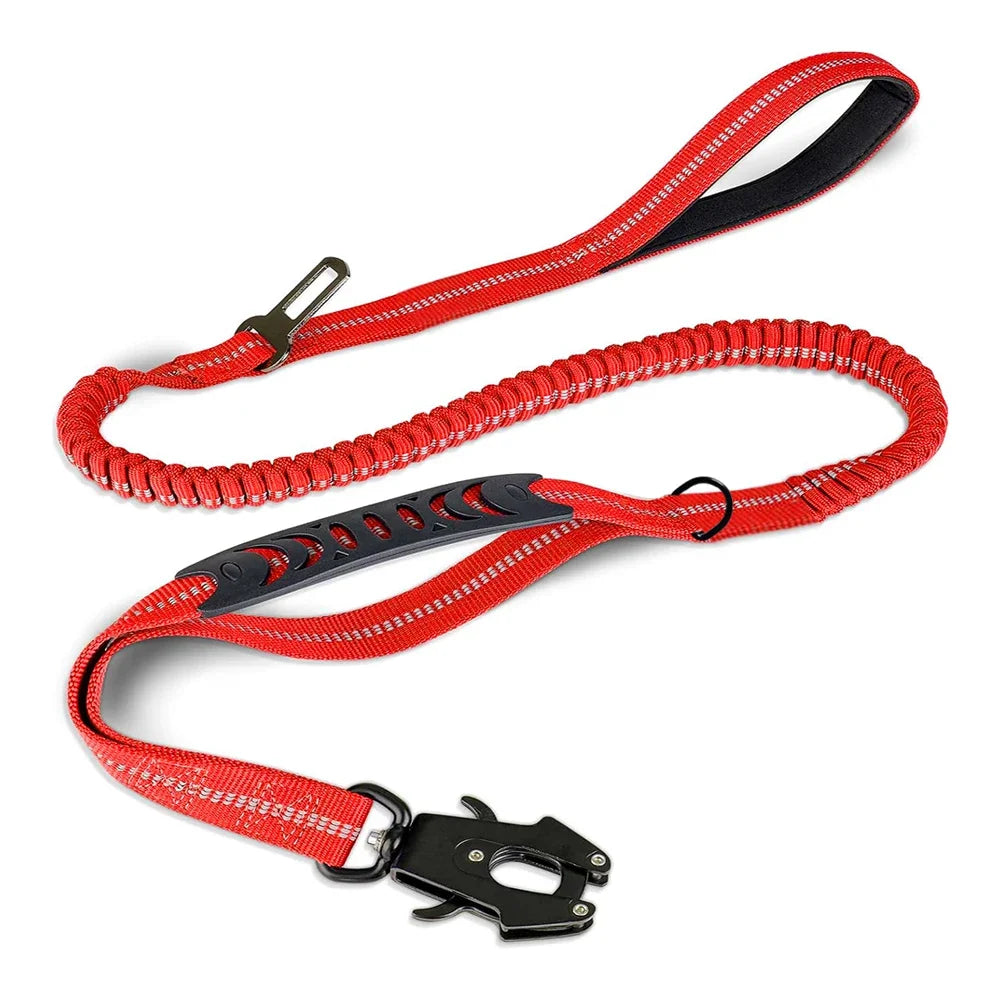 PawSecure 2-in-1 Dog Leash & Car Seat buckle