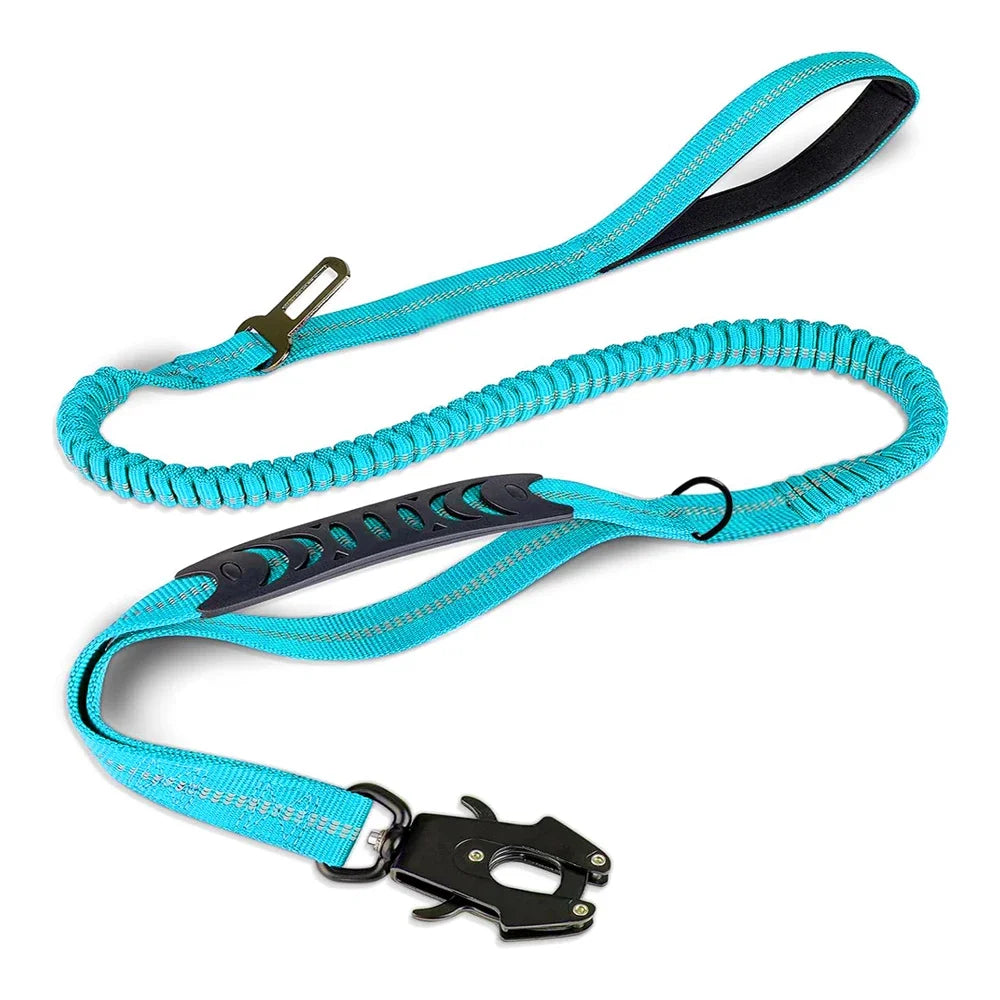 PawSecure 2-in-1 Dog Leash & Car Seat buckle