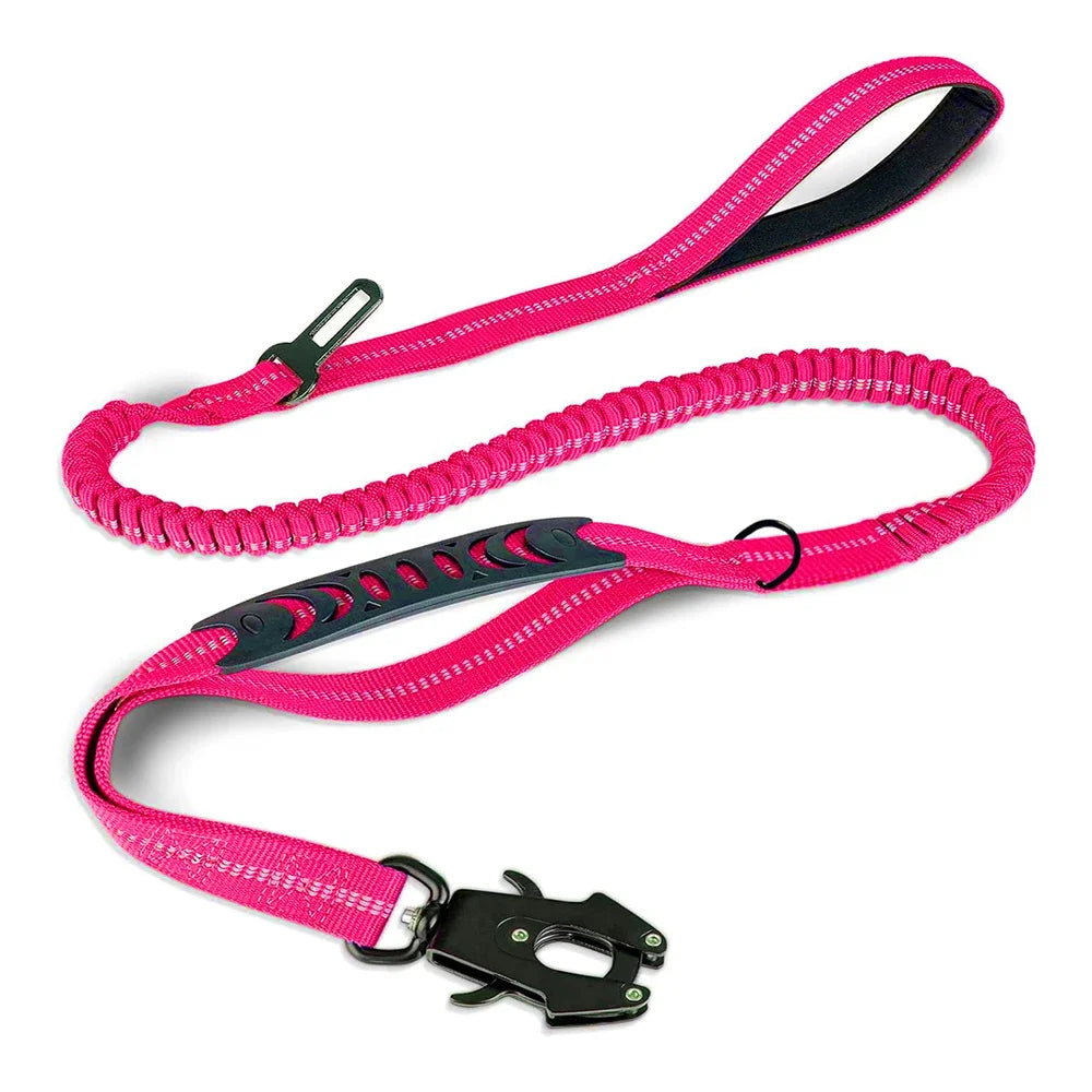PawSecure 2-in-1 Dog Leash & Car Seat buckle
