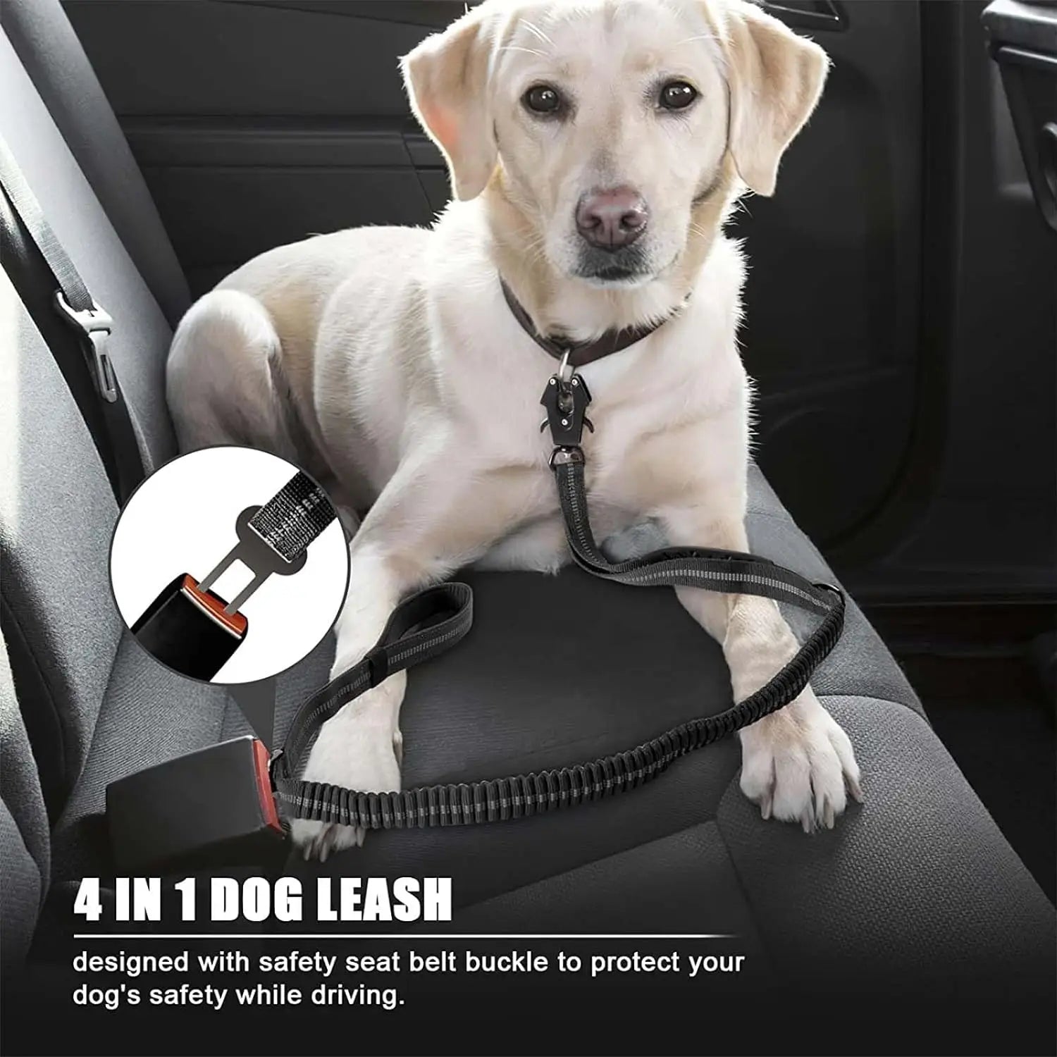 PawSecure 2-in-1 Dog Leash & Car Seat buckle