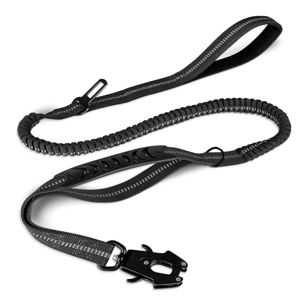 PawSecure 2-in-1 Dog Leash & Car Seat buckle