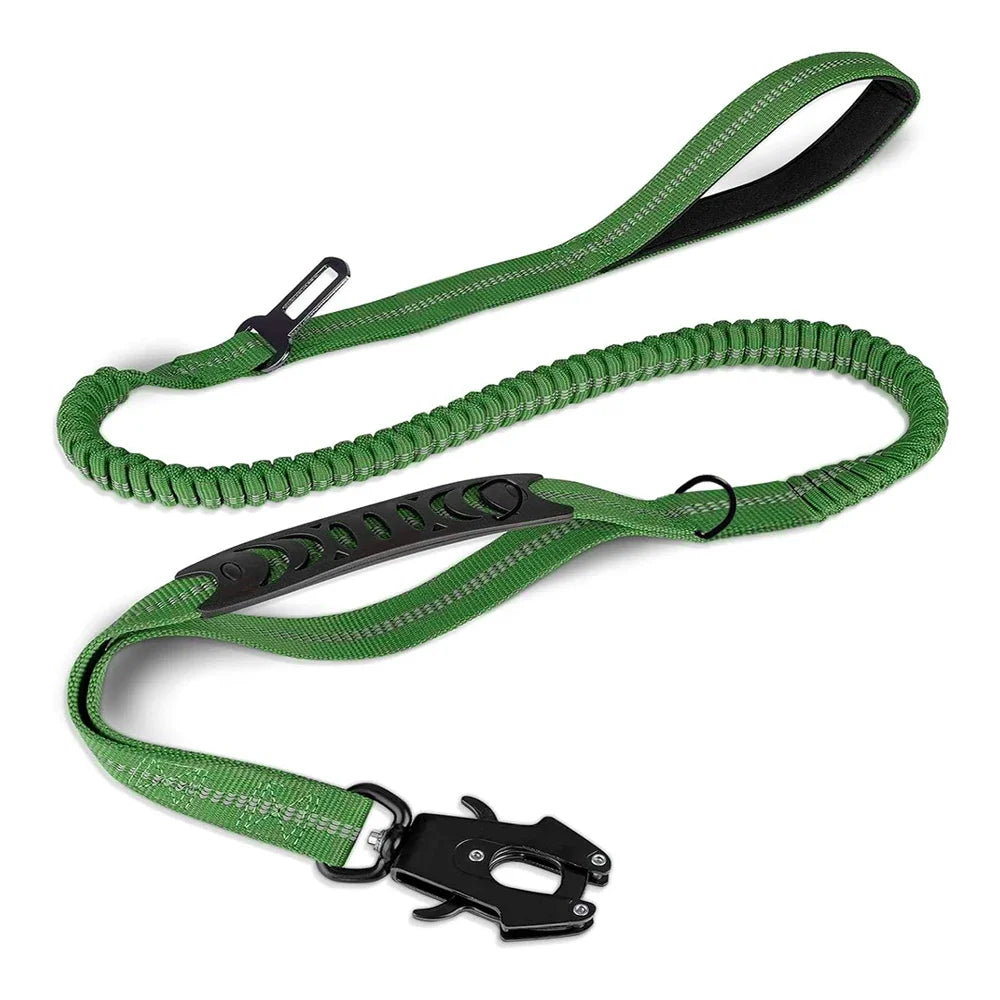 PawSecure 2-in-1 Dog Leash & Car Seat buckle