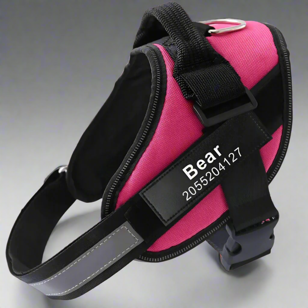 Personalized No Pull Harness