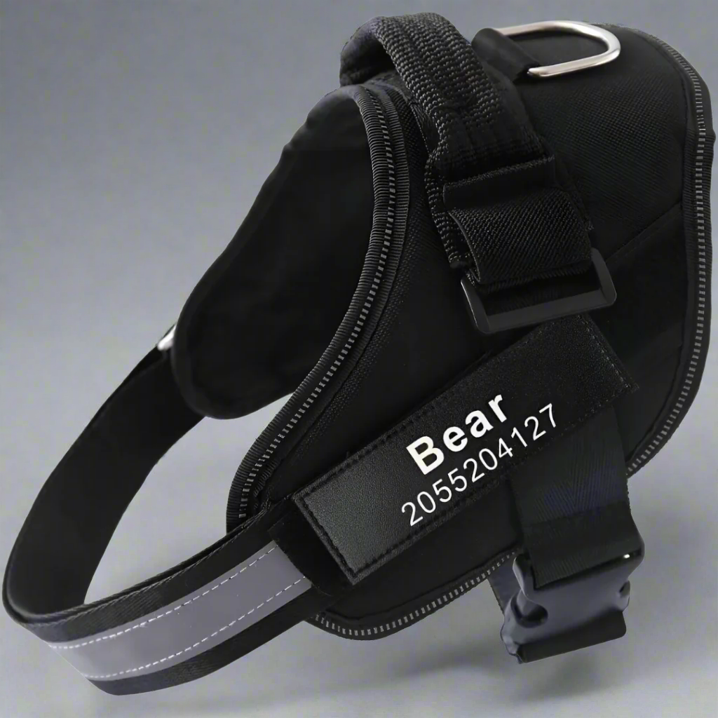 Personalized No Pull Harness