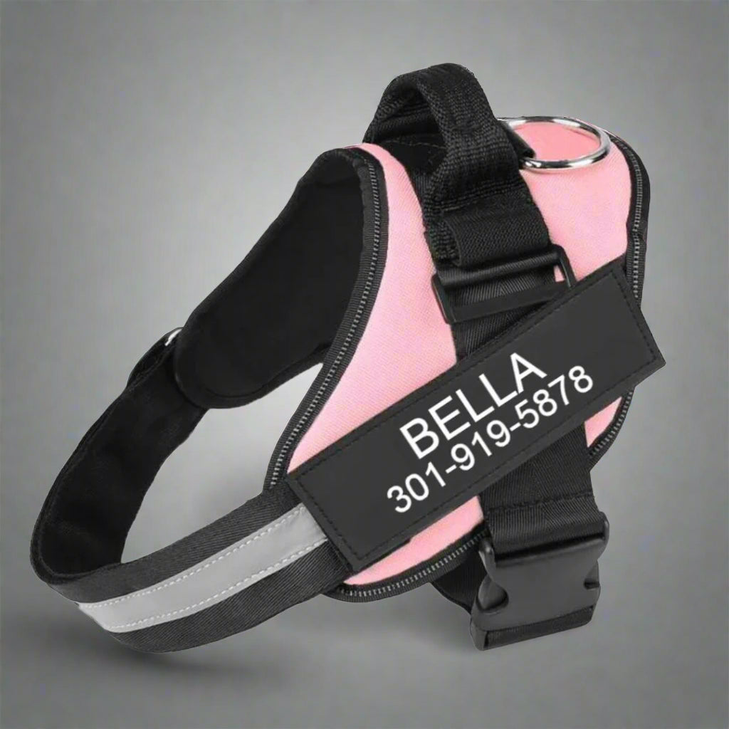 Personalized No Pull Harness