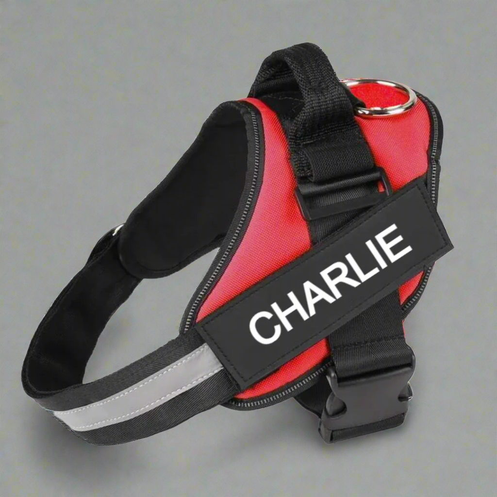 Personalized No Pull Harness