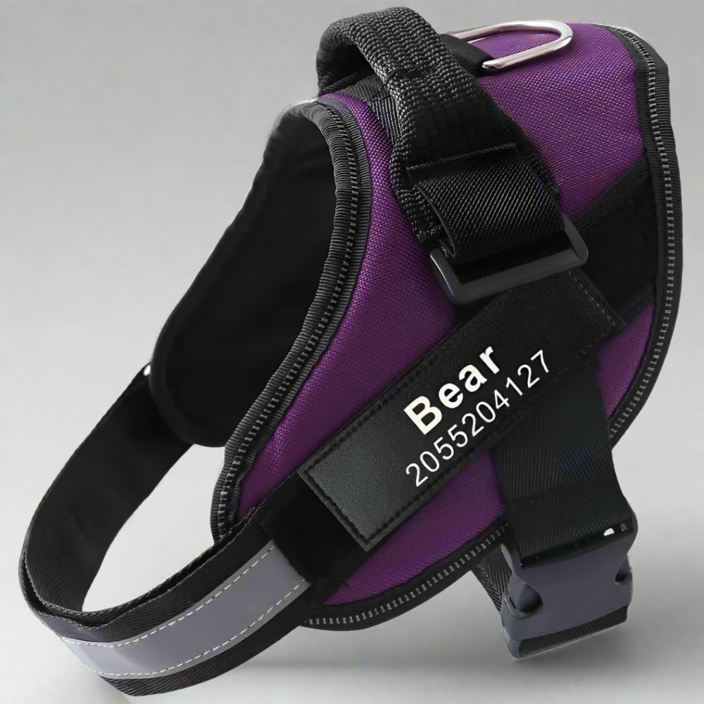 Personalized No Pull Harness