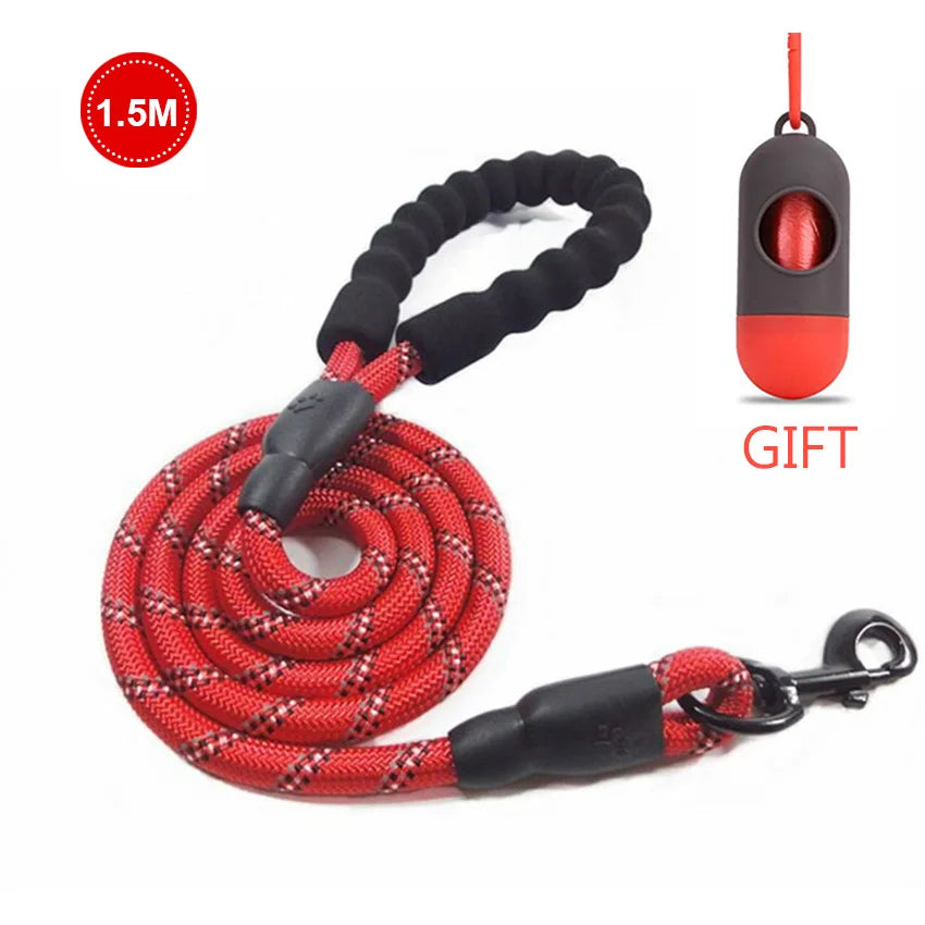 Reflective Dog Leash + FREE GIFT