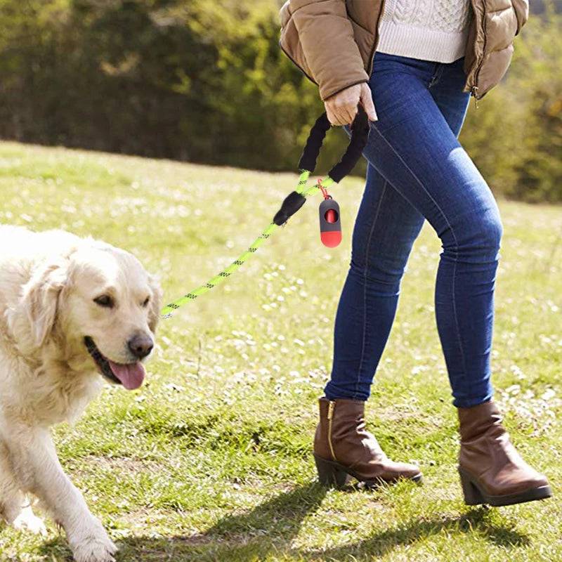 Reflective Dog Leash + FREE GIFT