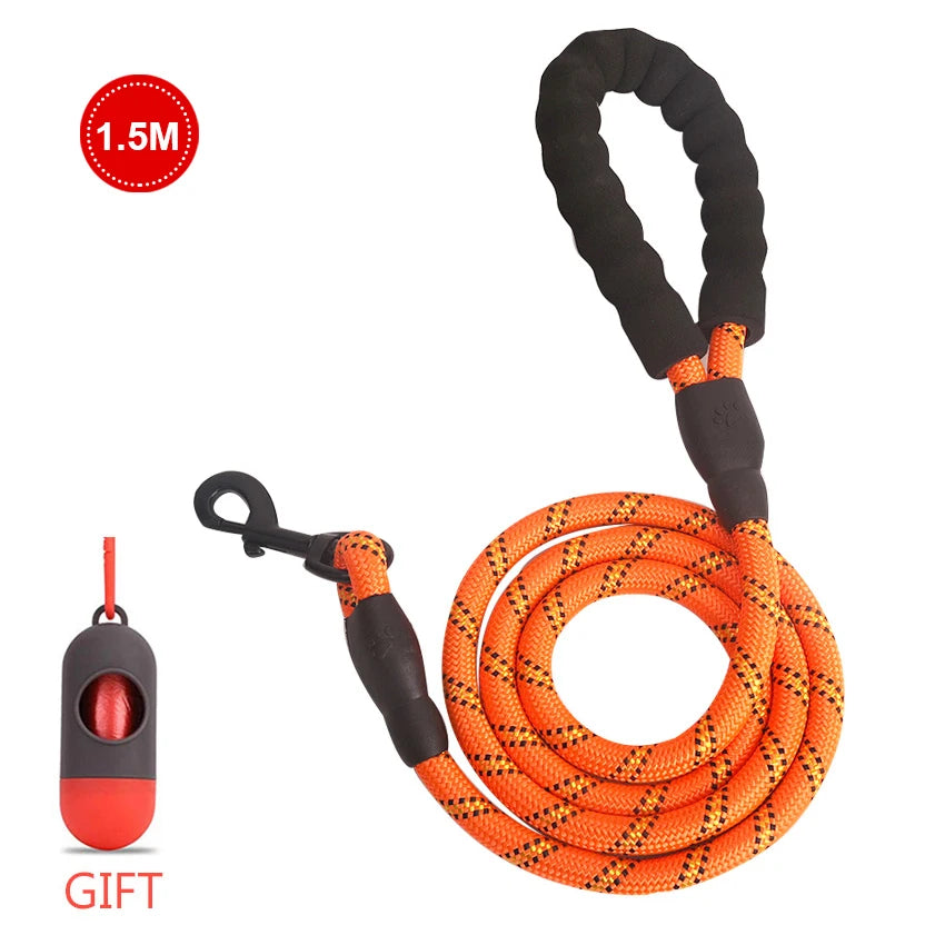 Reflective Dog Leash + FREE GIFT