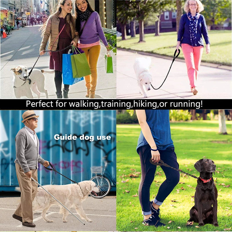 Reflective Dog Leash + FREE GIFT