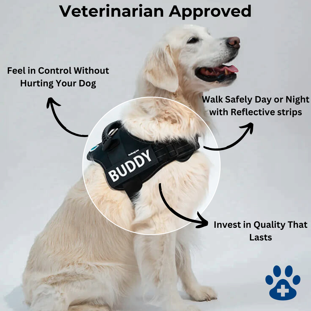 Personalized No Pull Harness