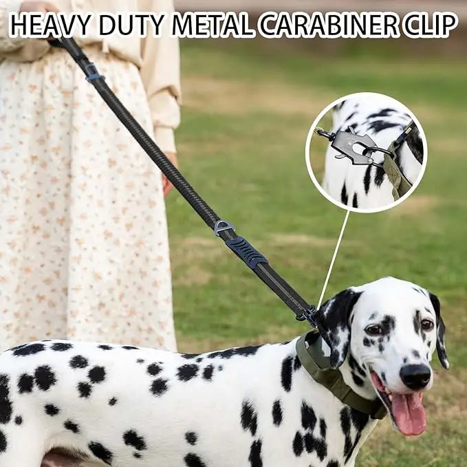 PawSecure 2-in-1 Dog Leash & Car Seat buckle