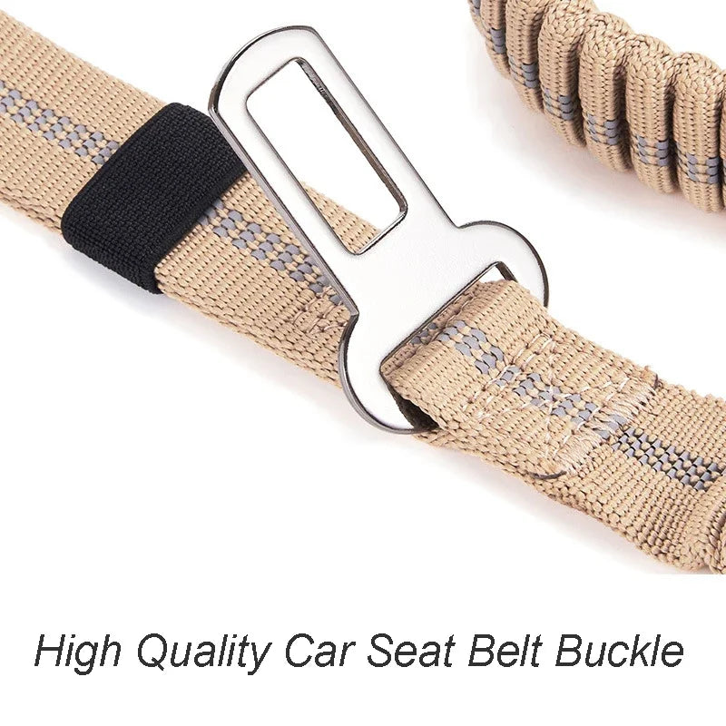 PawSecure 2-in-1 Dog Leash & Car Seat buckle