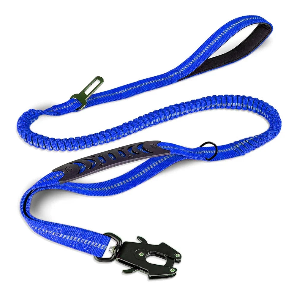 PawSecure 2-in-1 Dog Leash & Car Seat buckle