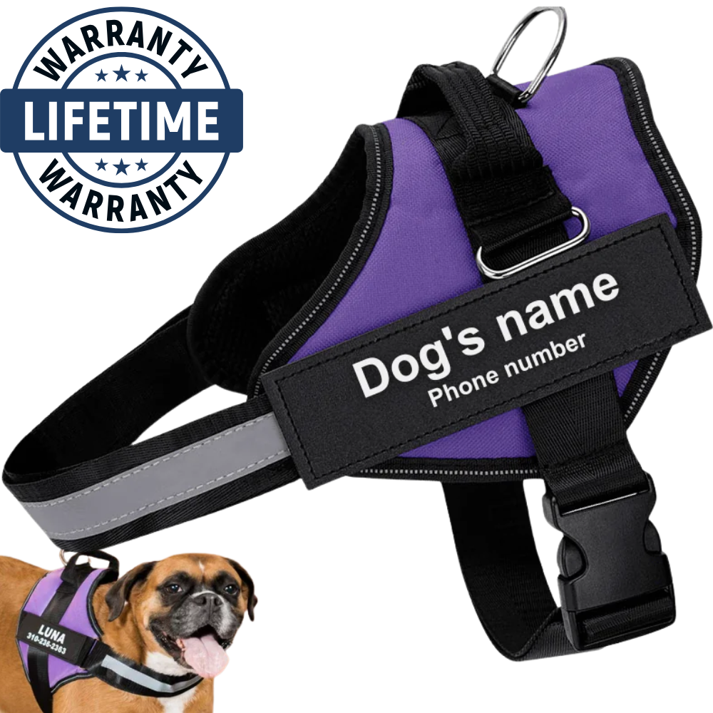 Personalized No Pull Harness