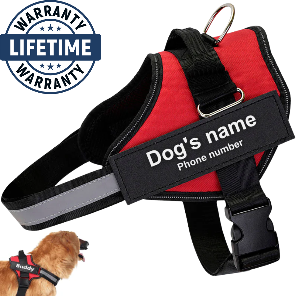 Personalized No Pull Harness